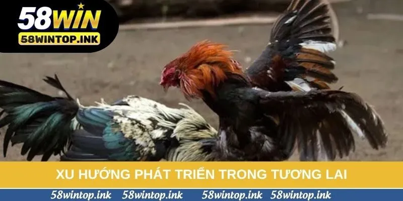 Xu hướng phát triển trong tương lai