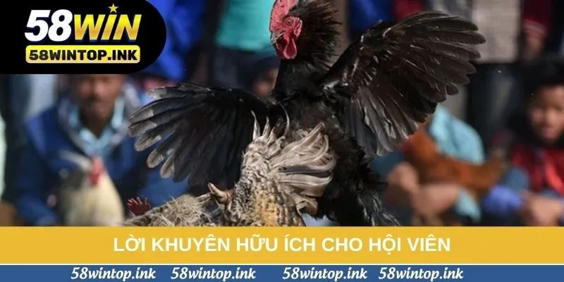 Lời khuyên hữu ích cho hội viên