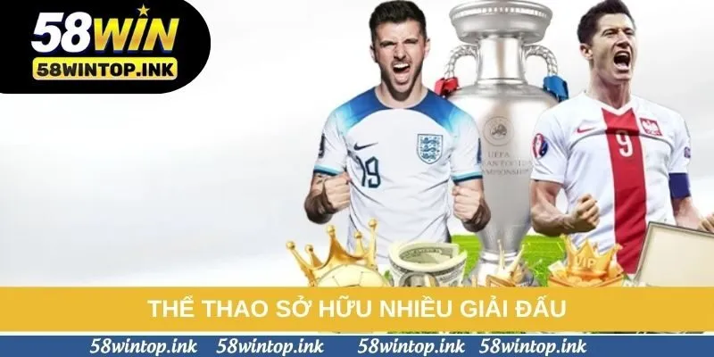 Thể thao sở hữu nhiều giải đấu