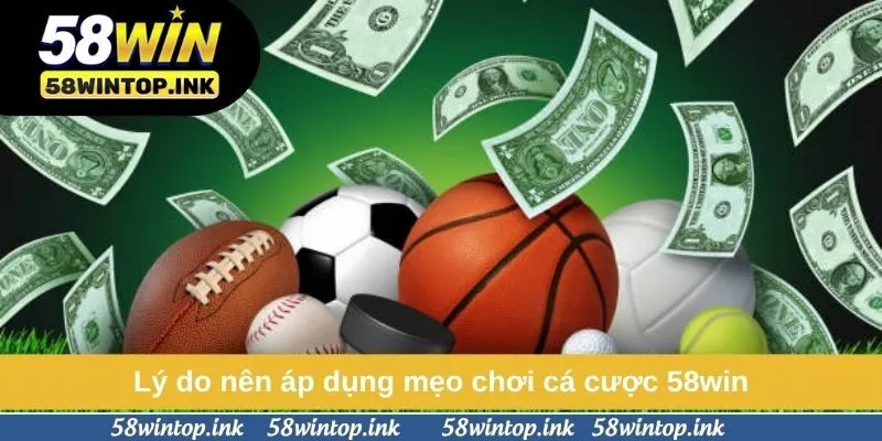 Lý do nên áp dụng mẹo chơi cá cược 58win