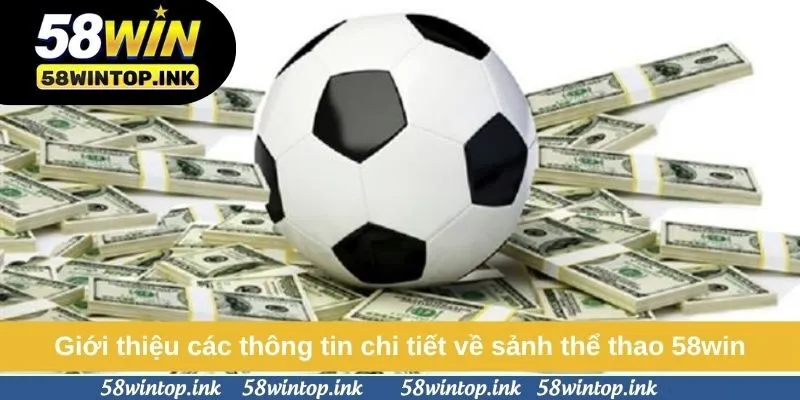 Giới thiệu các thông tin chi tiết về sảnh thể thao 58win